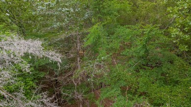 Tucked away on a quiet street in the gated community of Hideaway - photo 5