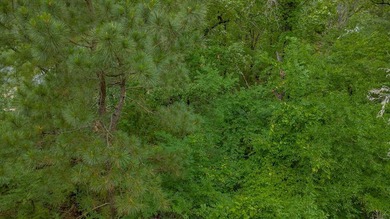 Tucked away on a quiet street in the gated community of Hideaway - photo 6