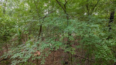 Tucked away on a quiet street in the gated community of Hideaway - photo 10