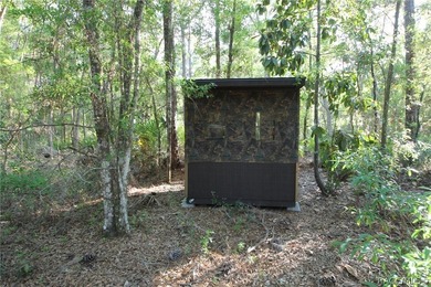 Build your dream home on this beautiful .57-acre lot in - photo 2