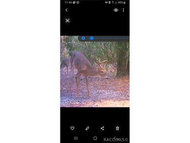 Build your dream home on this beautiful .57-acre lot in - photo 3
