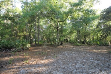 Build your dream home on this beautiful .57-acre lot in - photo 6