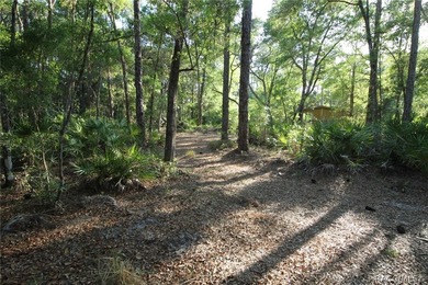 Build your dream home on this beautiful .57-acre lot in - photo 7