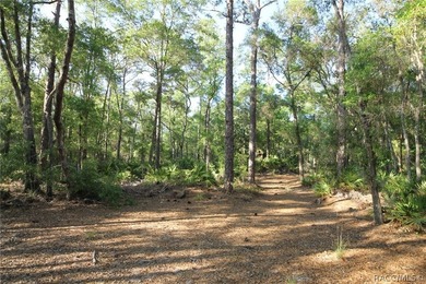 Build your dream home on this beautiful .57-acre lot in - photo 9