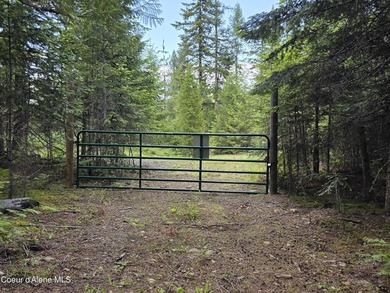 An exceptional 80 acres that adjoins USFS Forest Land, and - photo 31