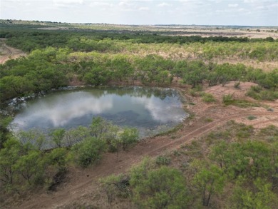 (private lake, pond, creek) Acreage For Sale in Cross Plains Texas