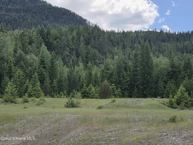 An exceptional 80 acres that adjoins USFS Forest Land, and - photo 34