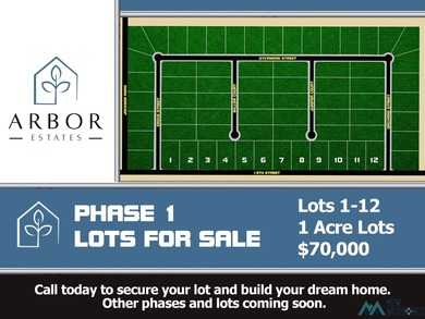 Pecos River Lot For Sale in Artesia New Mexico