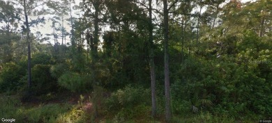 Lehigh Acres Area Lot For Sale in Lehigh Acres Florida