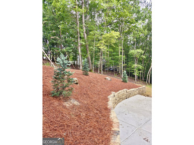 **NEW CONSTRUCTION RANCH PLAN by TIH Homes on a full unfinished - photo 3