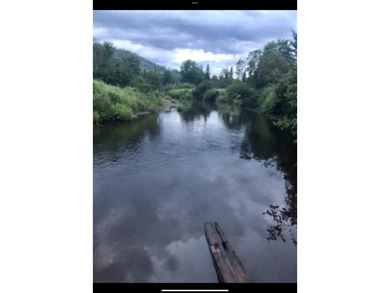 Ready to build a Coventry Log Cabin on 21+ acres of land with - photo 6