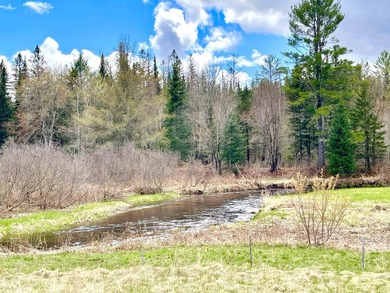 Ready to build a Coventry Log Cabin on 21+ acres of land with - photo 8