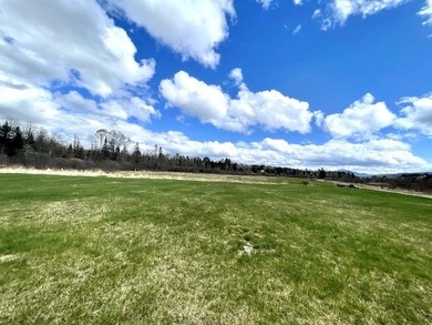 Ready to build a Coventry Log Cabin on 21+ acres of land with - photo 10