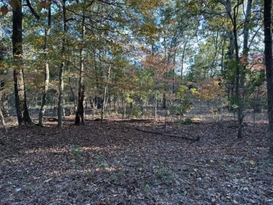 Lake Lot For Sale in Willow Springs, Missouri