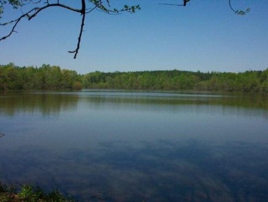 (private lake, pond, creek) Acreage For Sale in Newnan Georgia