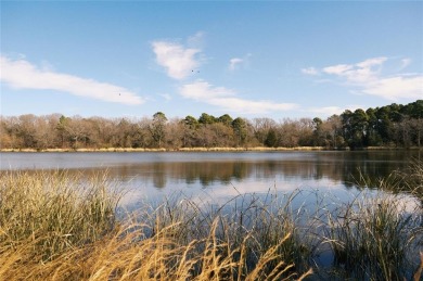 Lake Lot For Sale in Mineola, Texas