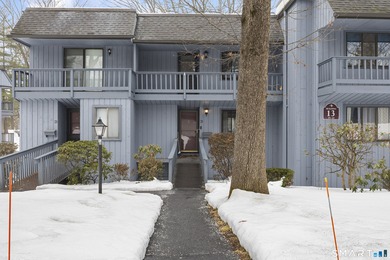 Spring Lake Condo For Sale in Southington Connecticut