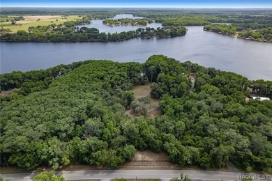 Tsala Apopka Chain of Lakes Acreage For Sale in Floral City Florida