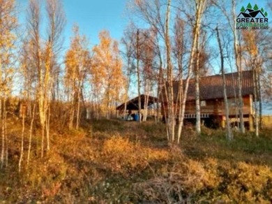 Lake Minchumina Home For Sale in Manley Alaska