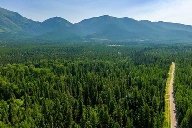 Johnson Creek views from the back of this forested 1.5 acres - photo 10