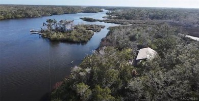 Homosassa Island Living on the Homosassa River - Your Escape to - photo 1