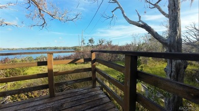 Homosassa Island Living on the Homosassa River - Your Escape to - photo 7
