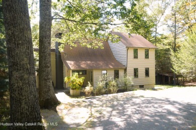 (private lake, pond, creek) Home Under Contract in Willow New York