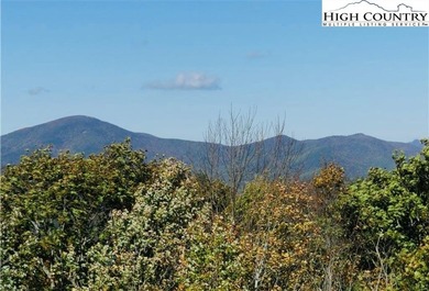 (private lake, pond, coastal) Lot For Sale in Boone North Carolina