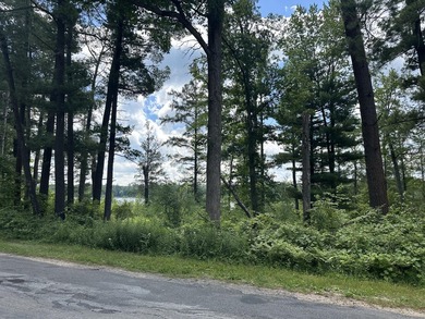 Rare acreage opportunity on quiet North Lake! This peninsula has - photo 11
