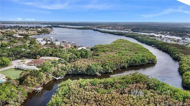 Ocean access with a spectacular river views. This is a 2022 - photo 2