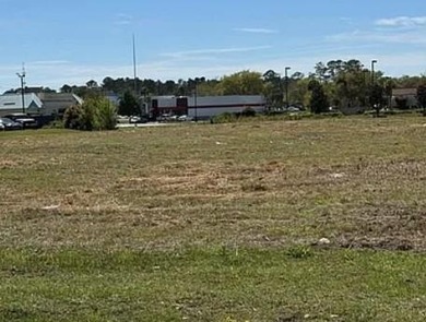 1.91-Acre Commercial Lot for Sale in Brunswick, GA - Zoned for - photo 3