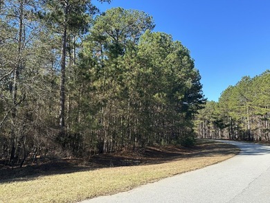 Great Little Triangle Buildable Lot in Stillwater Coves. Lot 294 - photo 3