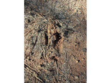 Great Little Triangle Buildable Lot in Stillwater Coves. Lot 294 - photo 4
