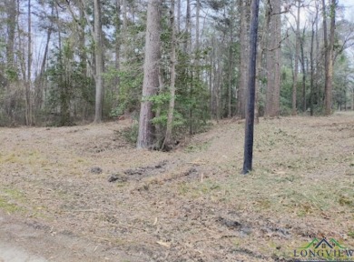 Lake Deerwood Lot For Sale in Harleton Texas