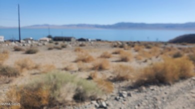 Walker Lake Lot For Sale in Walker Lake Nevada