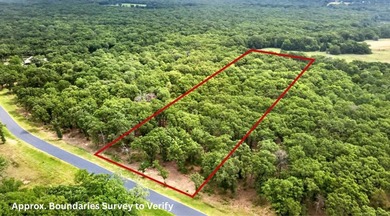 Build your dream home on this beautiful 3-acre lot in the gated - photo 3
