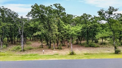 Build your dream home on this beautiful 3-acre lot in the gated - photo 8
