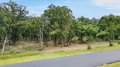 Build your dream home on this beautiful 3-acre lot in the gated - photo 9