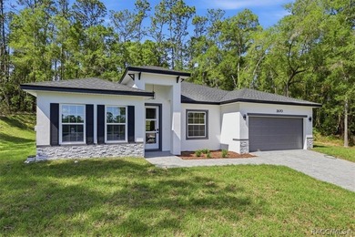 Move-in READY NEW CONSTRUCTION, golf course VIEW, and NO - photo 1