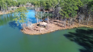 Lake Acreage For Sale in Columbiana, Alabama