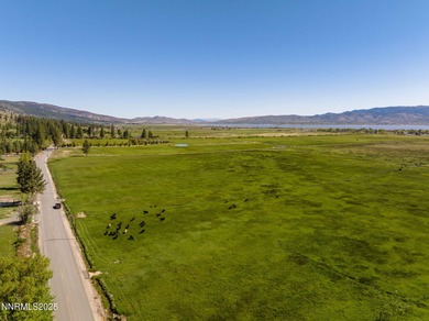 Washoe Lake Acreage Active Under Contract in Washoe Valley Nevada