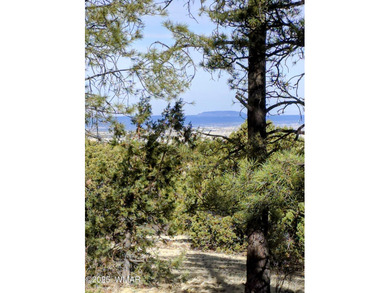 (private lake, pond, creek) Lot For Sale in Vernon Arizona