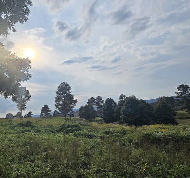 Lake Lot For Sale in Evensville, Tennessee