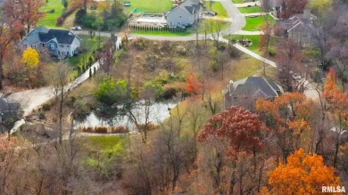 Lake Lot For Sale in Germantown Hills, Illinois