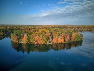 School Section Lake - Mecosta County Home For Sale in Mecosta Michigan