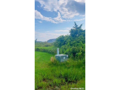 Vacant Land, Water Front Property - photo 2