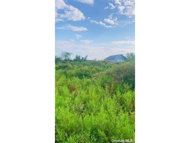 Vacant Land, Water Front Property - photo 3