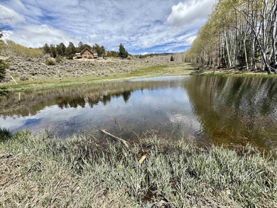 Lake Home For Sale in Salida, Colorado