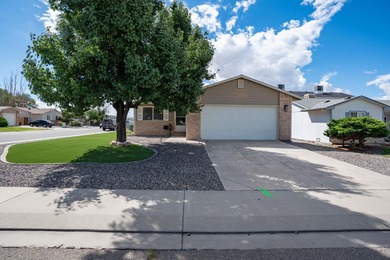 Colorado River Home Sale Pending in Grand Junction Colorado