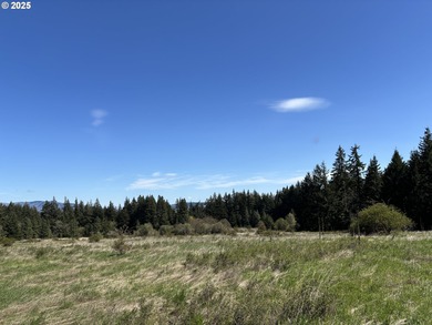Columbia River Acreage For Sale in Whitesalmon Washington
